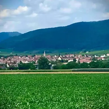 Le Clocher à Parking Privé * Beblenheim
